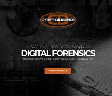 Cyber Diligence Newyork